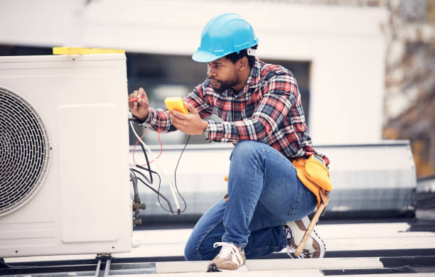 Best Local Electrician Companies  in Burgaw, NC